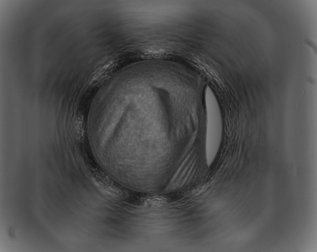 X0000091360599200709071305