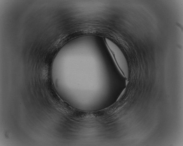 X0000091360600200709071305