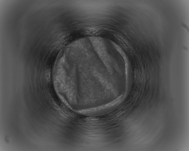 X0000091360602200709071305