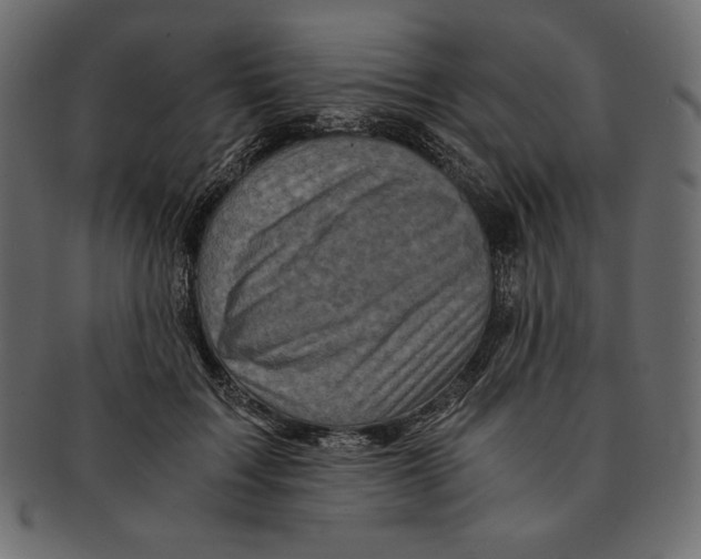 X0000091360603200709071305