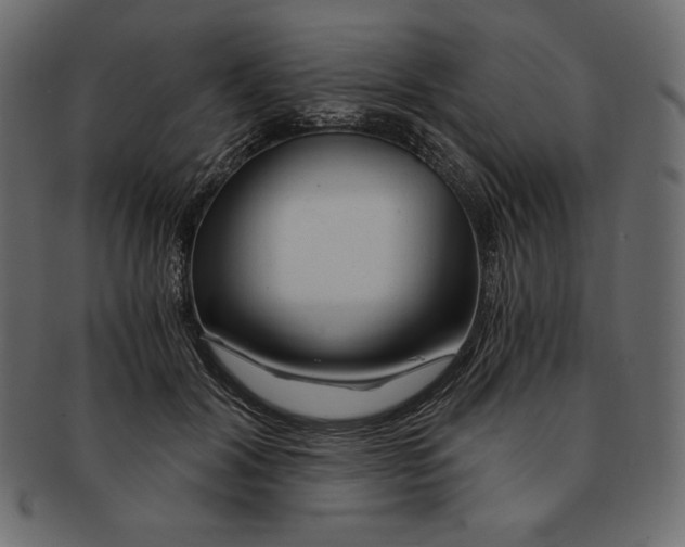 X0000091360604200709071305