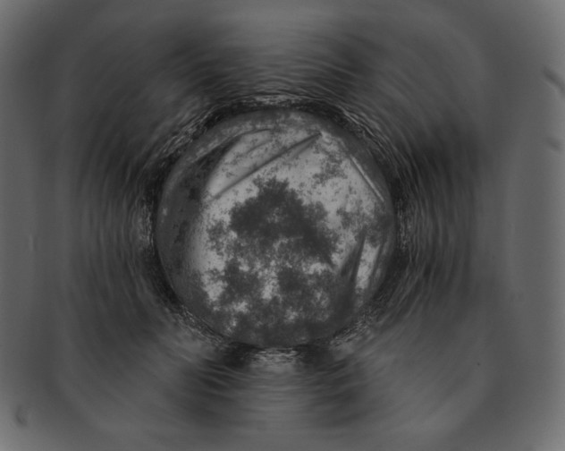 X0000091360606200709071305