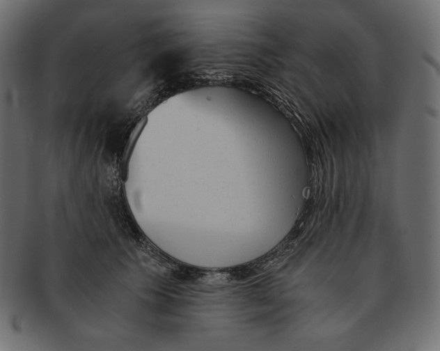 X0000091360609200709071305