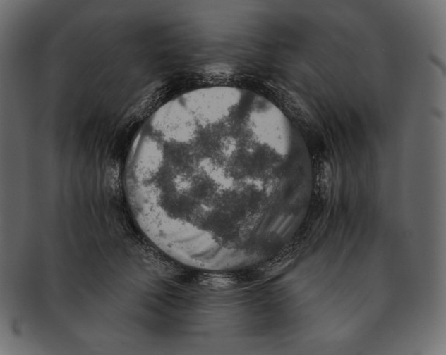 X0000091360610200709071304