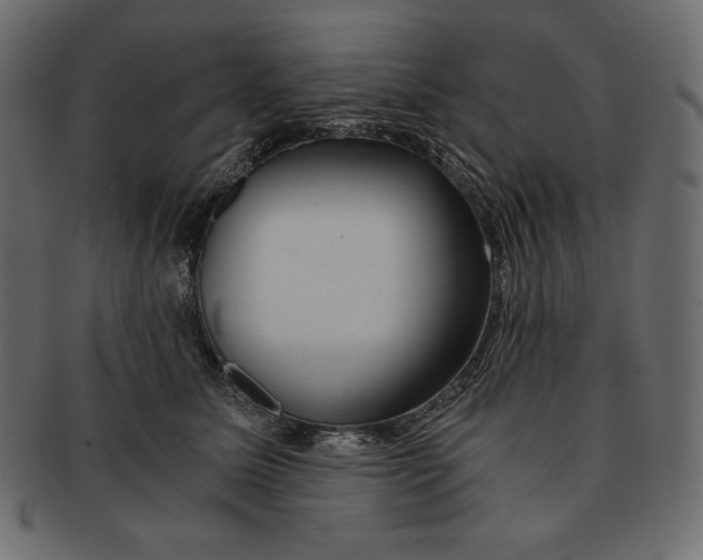 X0000091360611200709071304