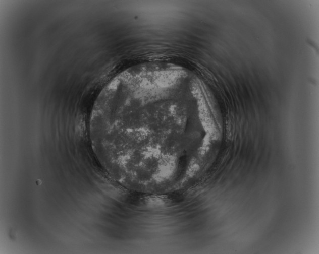 X0000091360618200709071304