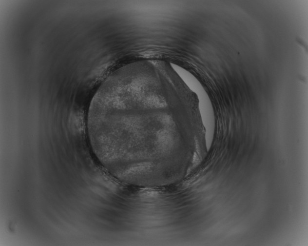 X0000091360620200709071304