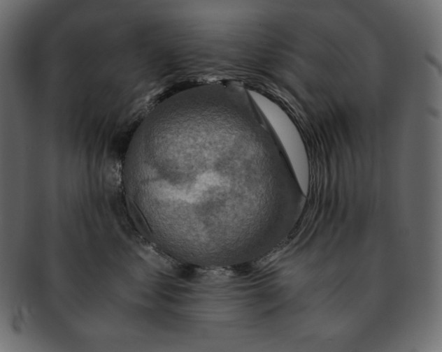 X0000091360621200709071304
