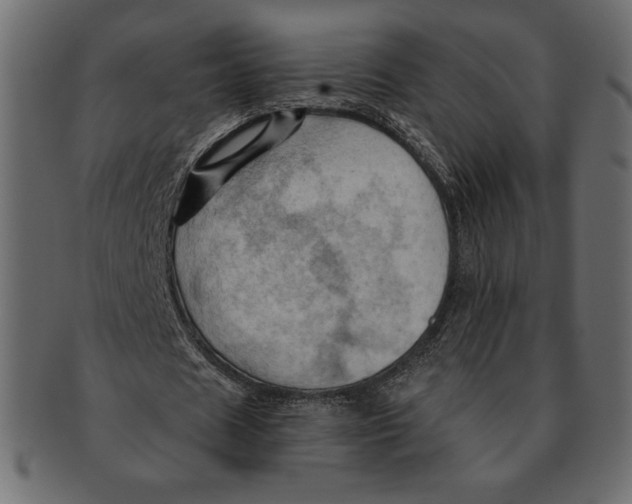 X0000091360625200709071303