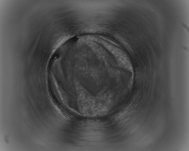 X0000091360626200709071303