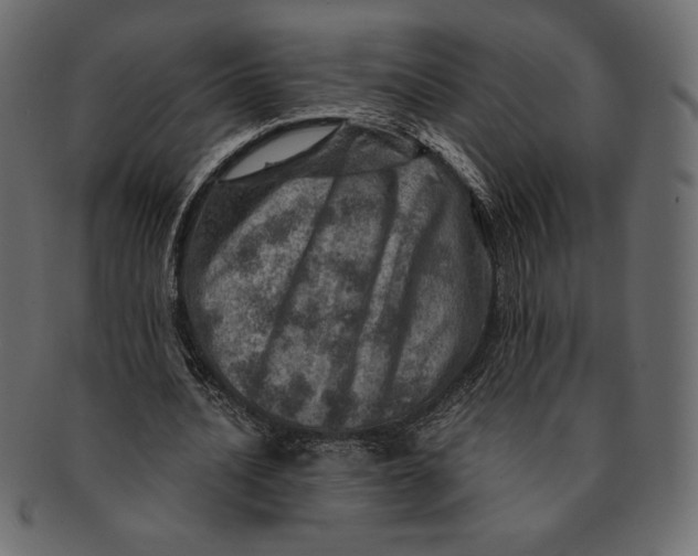 X0000091360628200709071303