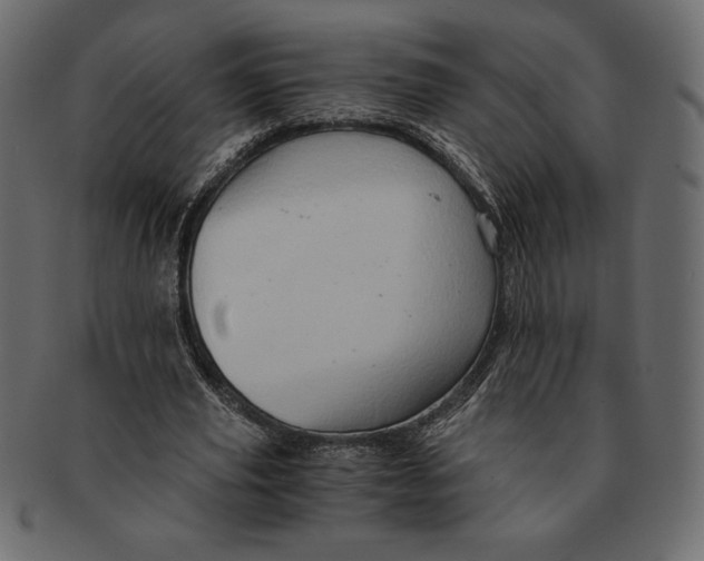 X0000091360629200709071303