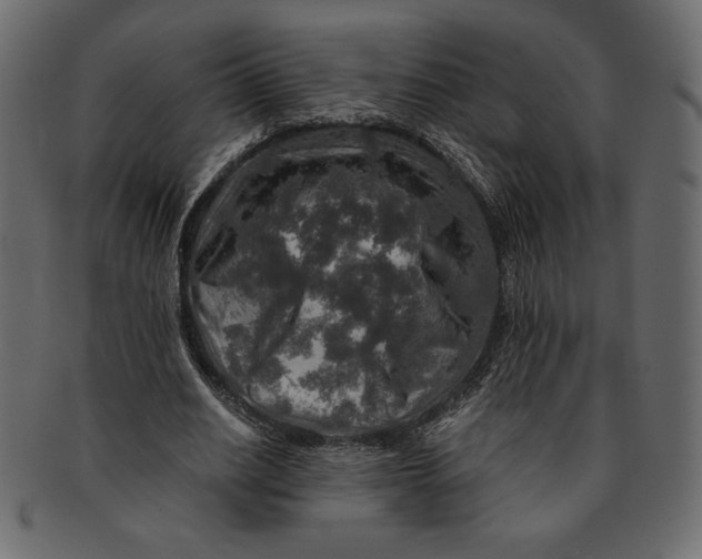 X0000091360630200709071303