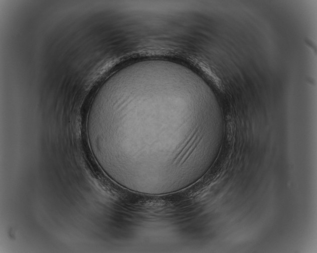 X0000091360631200709071303