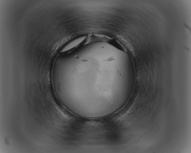 X0000091360633200709071303