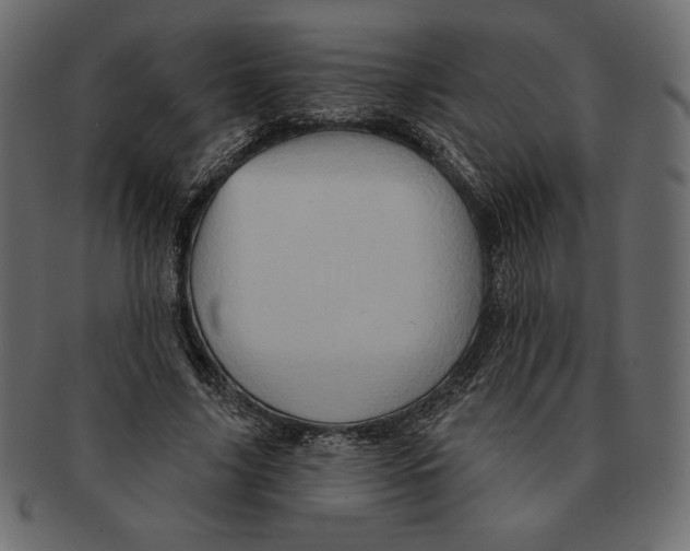 X0000091360635200709071303