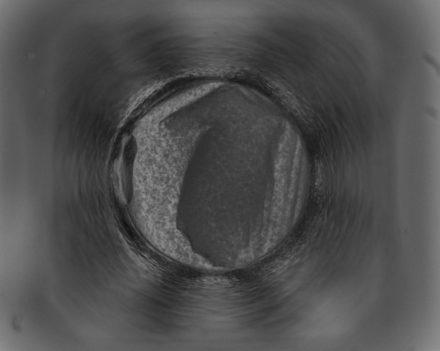 X0000091360636200709071303