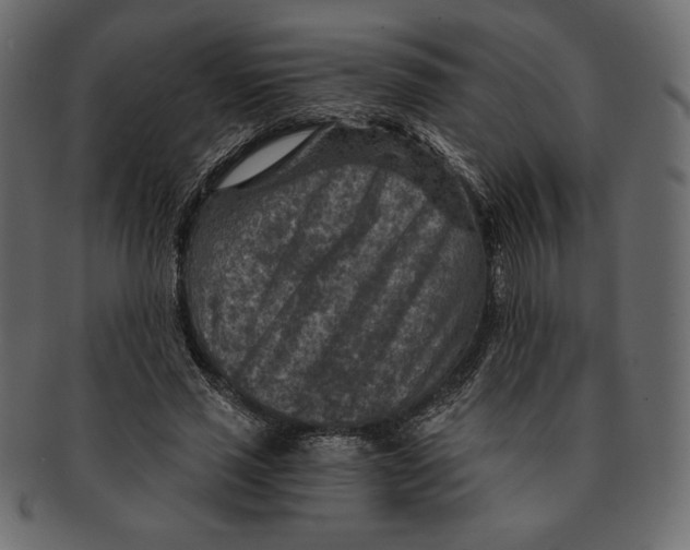 X0000091360637200709071303