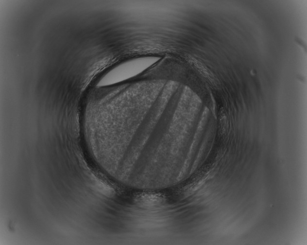 X0000091360638200709071303