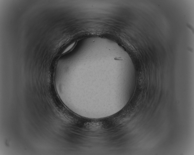 X0000091360639200709071303