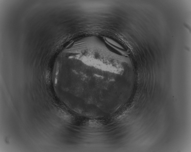 X0000091360641200709071304