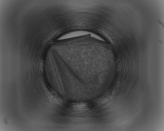 X0000091360643200709071304