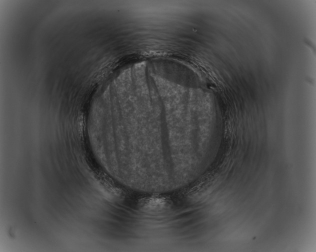 X0000091360647200709071304