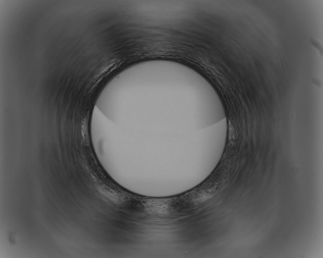 X0000091360648200709071304