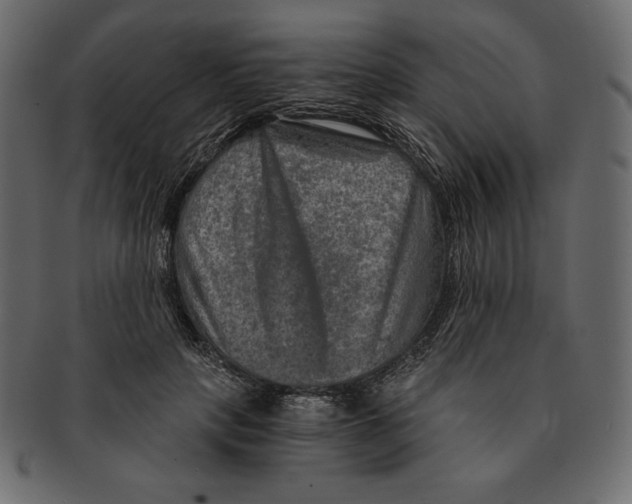 X0000091360649200709071304