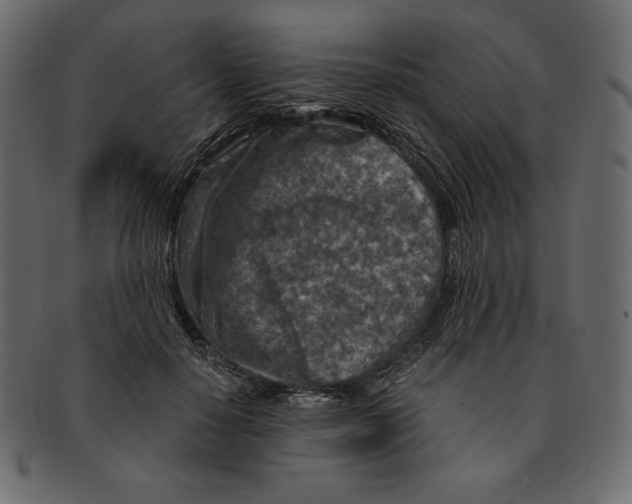 X0000091360650200709071304