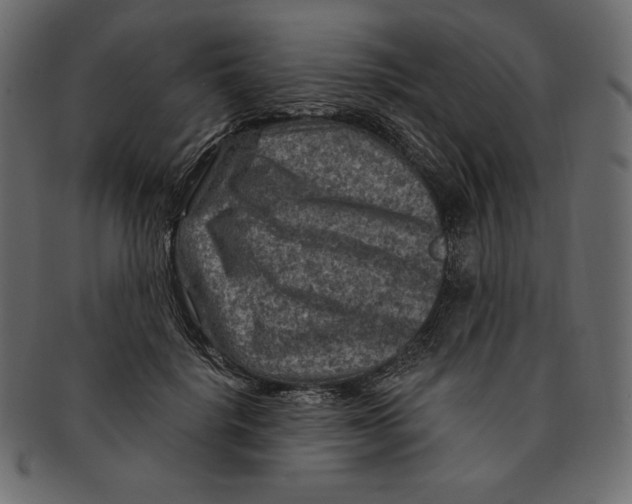 X0000091360652200709071304