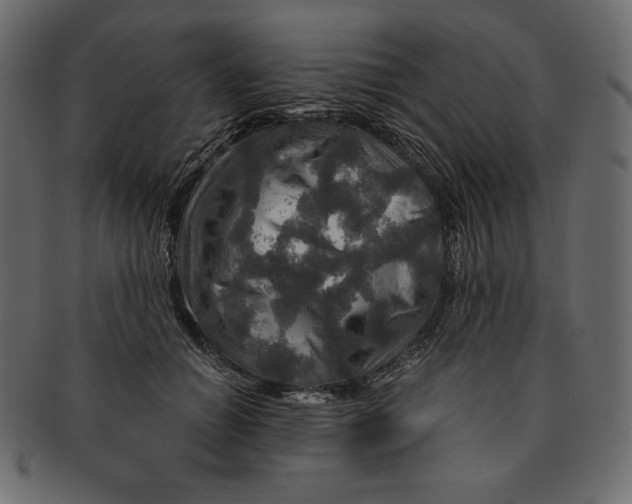 X0000091360654200709071304