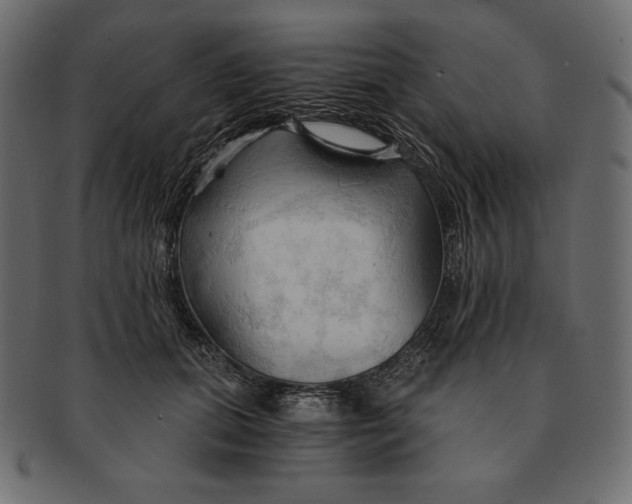 X0000091360655200709071304