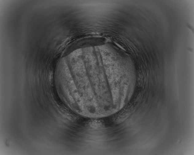X0000091360656200709071304