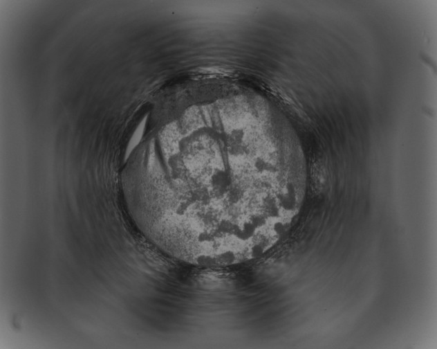 X0000091360657200709071304