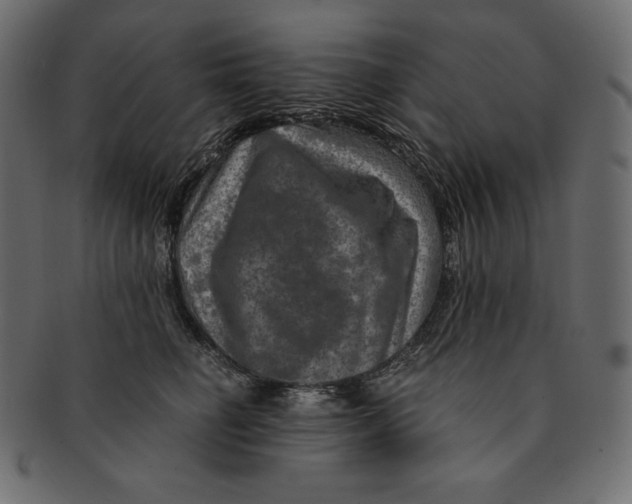 X0000091360662200709071304