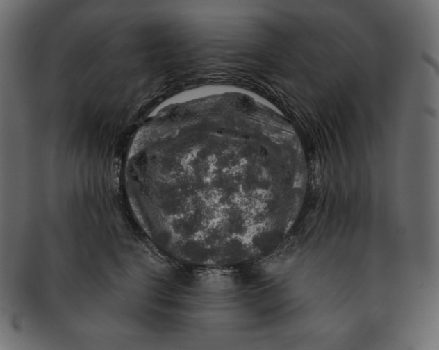 X0000091360664200709071304