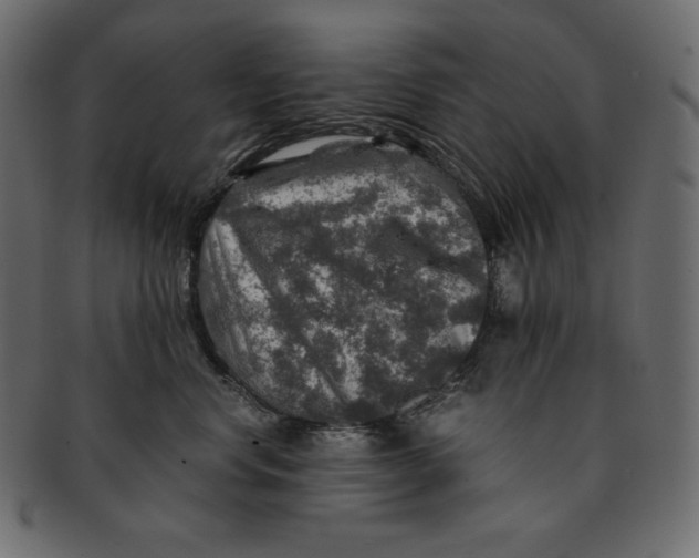 X0000091360668200709071304