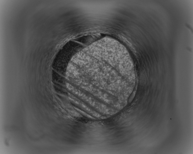 X0000091360673200709071303