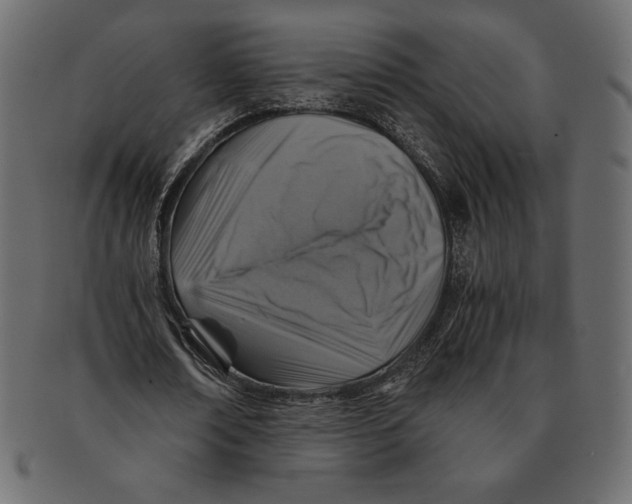 X0000091360674200709071303