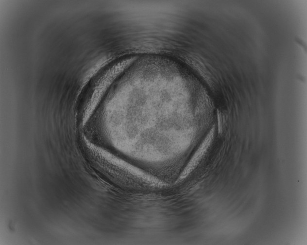 X0000091360675200709071303