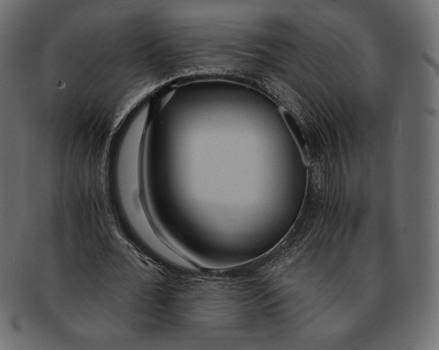 X0000091360676200709071303