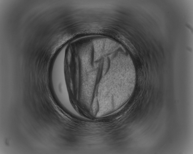 X0000091360677200709071303