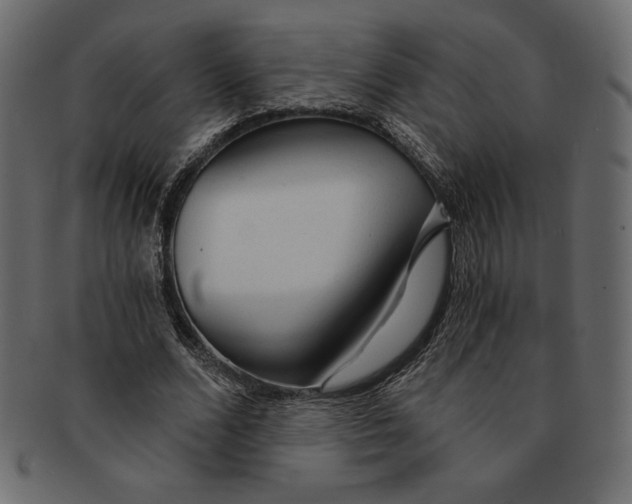 X0000091360680200709071303