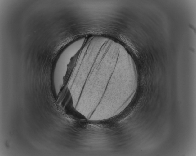 X0000091360681200709071303