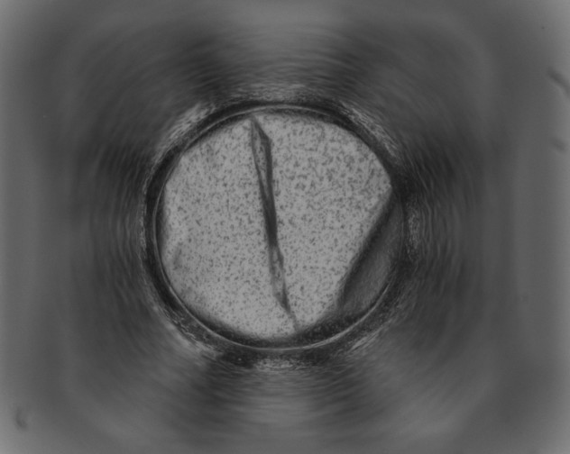 X0000091360682200709071303