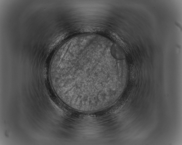 X0000091360683200709071303