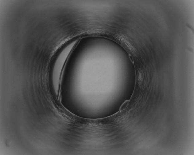 X0000091360684200709071303