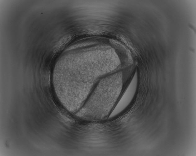 X0000091360685200709071303