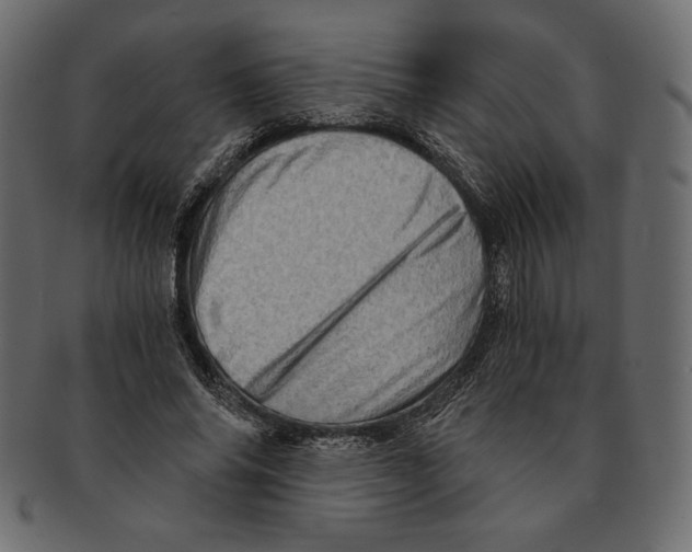 X0000091360686200709071303